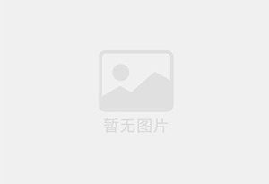 绿色防霉片